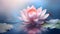 Exquisite lotus blossom floating on a serene pond