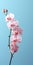 Exquisite Orchid: Minimalist Mobile Wallpaper In 8k Resolution