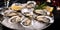 Exquisite Oysters on Ice - Oceanic Luxury - Elegant and Chilled - Seafood Extravaganza