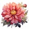 Exquisite Pink Dahlia Watercolor Painting On White Background