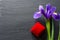 Exquisite purple iris flower on natural stone background, engagement concept