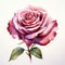 Exquisite Realistic Watercolor Rose Illustration