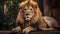 Exquisite Schlieren Photography Of Majestic Harpia Harpyja Lion In Brazilian Zoo