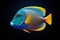 Exquisite Surgeonfish with Vibrant Hues - Generative AI