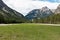 Extended Green Meadow and Conifers in Alps Mountains Scenery in Summer Time