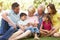 Extended Group Portrait Of Family Enjoying Day