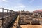 Extensive cattle paddocks in the historic district of Fort Worth, Texas