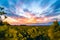 Extensive field with yellow flowering rapeseed. Colorful clouds in the sky, sunset. A landscape full of yellow flowers that