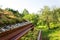 Extensive green living sod roof covered with vegetation mostly tasteless stonecrop seen, sunny day