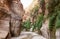 Extensive greenery and high palms grows on the mountain slopes in the gorge Wadi Al Ghuwayr or An Nakhil and the wadi Al Dathneh