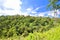 Extensive Indonesian jungle viewed from the Campuhan Ridge Walk, the best known Ubud trek