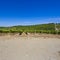 Extensive vineyards in the Chianti
