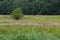 Extensively used meadows beneath the stream Ryck near Heilgeisthof, Mecklenburg-Vorpommern, Germany