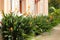 Exterior architectural details of a mansion lined with flowers and plants