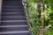 exterior architectural. green ivy plant growth at vintage handrail with back steel staircase.