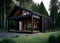 Exterior concept a modern black minimalist stylish house in 3d rendering style Generative AI