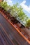 Exterior hardwood deck with natural balcony plants in pots privacy plantings