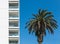 Exterior of a high modern white building with multiple floors of balconies next to a palm tree under a perfect blue sky