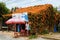 Exterior house with orange trumpet creeper cover from roof, flora wall