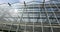 Exterior of a large greenhouse. Panorama of a large modern glass greenhouse. Glass facade of a large industrial
