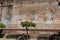 Exterior side wall of the unfinished Church (18th century) of Castano del Robledo, Huelva. Spain