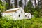 Exterior view of canvas tent cabins in Camp Curry located in a lush forest in Yosemite Valley, Yosemite National Park, California