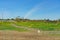 Exterior view of a farm of Cal Poly Pomona