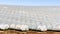 Exterior view of rows of greenhouses covering agricultural fields in South California, Santa Maria, Santa Barbara county,