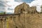 Exterior walls of Neamt Fortress.