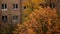 Exterior windows of a residential brick house through the leaves of autumn trees