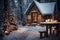 exteriors of the house are decorated for Christmas or New Year\\\'s holiday, city street