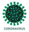 External close up structure of coronavirus COVID19