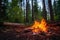 extinguished campfire in a vibrant forest