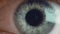 Extra macro shot of man\'s opening eye with blue iris and big black tapering pupil when exposed to light. Healthy