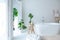 Extra white and very light minimalistic stylish elegant interior of bathroom with modern bath, green plants and wooden elements