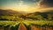 Extra wide panoramic shot of summer vineyard shot at sunset