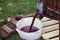 Extracting grape juice with old manual wine press