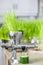 Extraction of Wheatgrass in Action on the Kitchen Countertop using a Manual Juicer