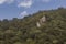 An extrange monolith in middle of forest mountain with blue sky