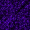 Extraordinary diagonal pattern of violet drops and splashes of a metallic effect