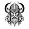 Extraordinary lovely vector art viking emblem symbol