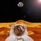 Extrasolar planet and earth behind. Astronaut posing. The elements of this image furnished by NASA