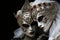 Extravagant masquerade ball at venice carnival with elaborate masks and magnificent costumes