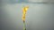 Extreme aerial close-up shot of heavenly golden Saint Michael angel statue on Mont Saint Michel sky castle steeple top.