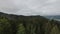 Extreme close flight over treetops in the misty forest morning. Aerial shot on fpv sport drone over clouds nature valley