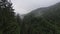 Extreme close flight over treetops in the misty forest morning. Aerial shot on fpv sport drone over clouds nature valley