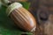 Extreme close-up of acorns and green oak leaves on a dark wooden table, selective focus