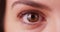 Extreme close up of Caucasian millenial\'s brown eye blinking