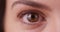 Extreme close up of Caucasian millennial\'s eye on green screen