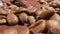 Extreme close-up of detailed coffee beans and bittersweet chocolate chunks with whole hazelnuts